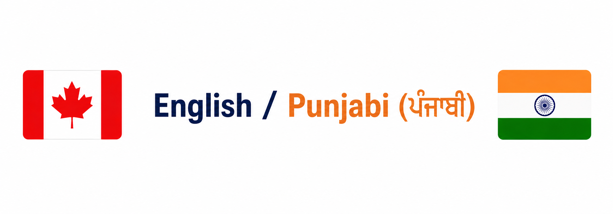 English / Punjabi (ਪੰਜਾਬੀ) — 134 Free Questions (134 ਮੁਫ਼ਤ ਸਵਾਲ)